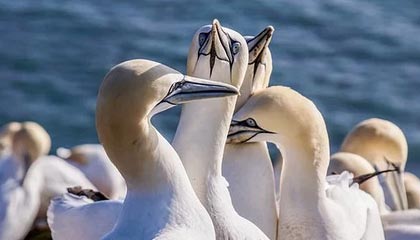 九游游戏中心官网-高光时刻:那些场上经典瞬间难以忘怀!,高光时刻的歌曲