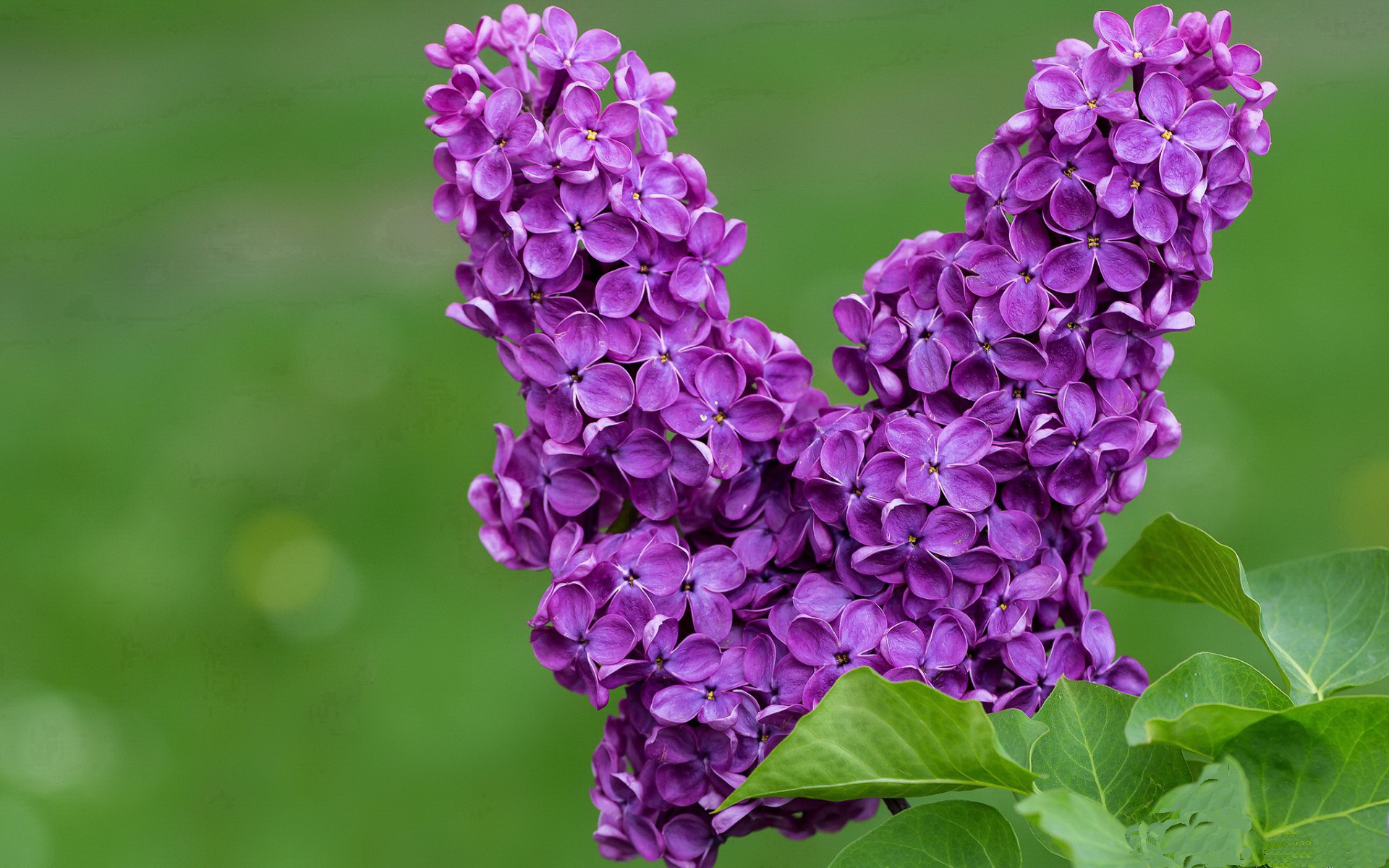 九游娱乐比分网-赛事安保力量升级,确保观众与球员安全,赛事安保方案