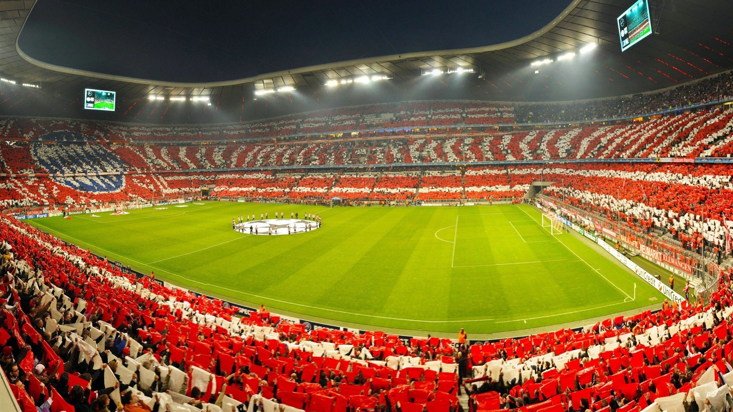 _星空下的露天瑜伽:平衡身心的天然良方_,星空下的露营有感