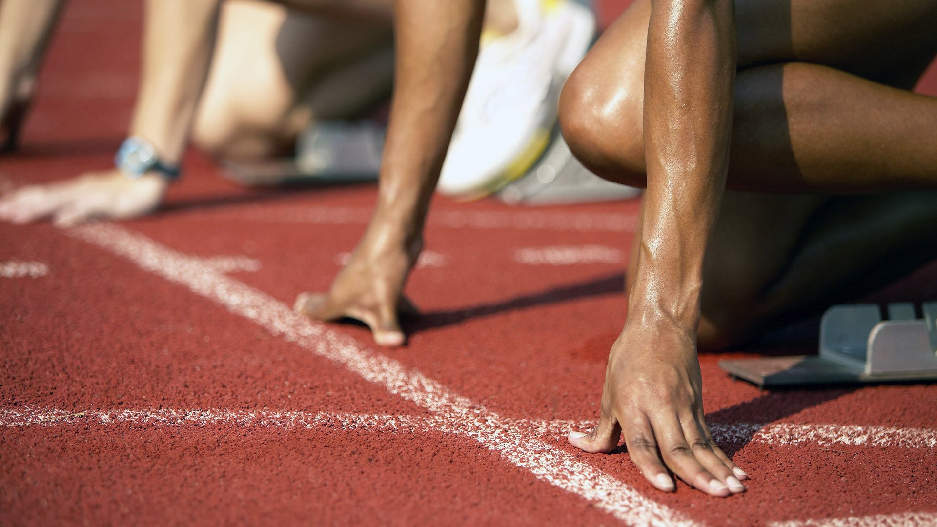 葡萄牙马术协会与国际马术联合会合作,举办国际马术交流活动,促进技术交流。